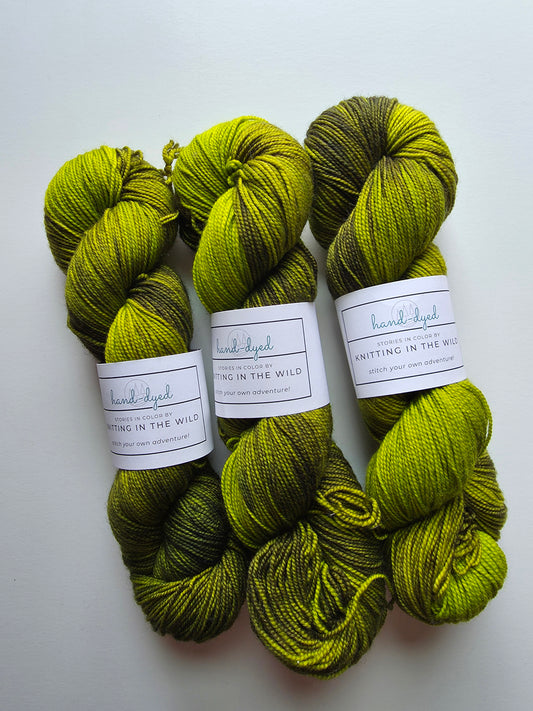 Knitting In The Wild Hand Dyed Yarn | Temperance | Fern Gully