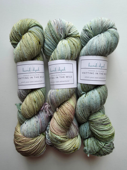Knitting In The Wild Hand Dyed Yarn | Temperance | Lake Trout