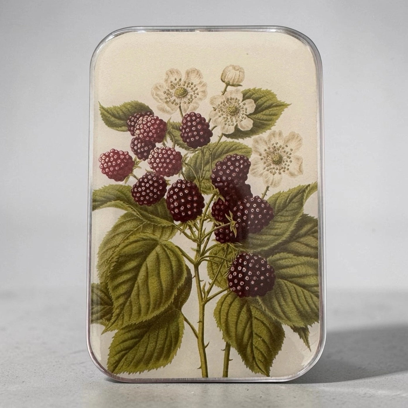 Large Wild Blackberry Botanical Notions Tin