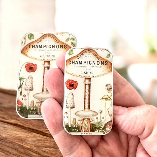 Small Vintage Mushrooms Notions Tin