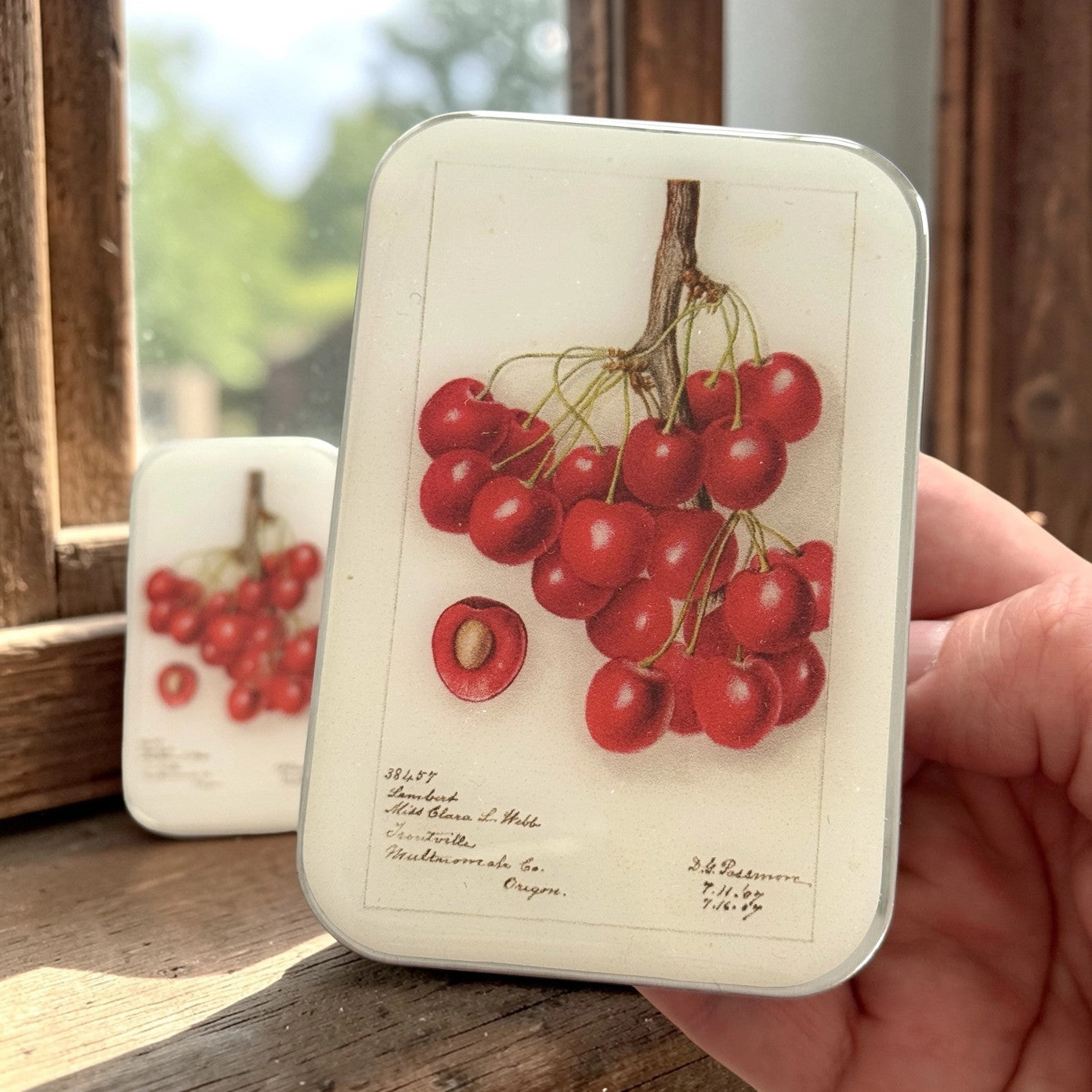 Large Botanical Cherry Notions Tin