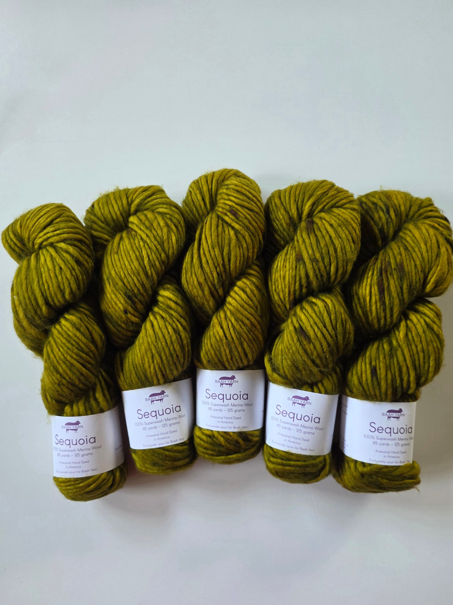 Baah Yarn | Sequoia | Irish Moss