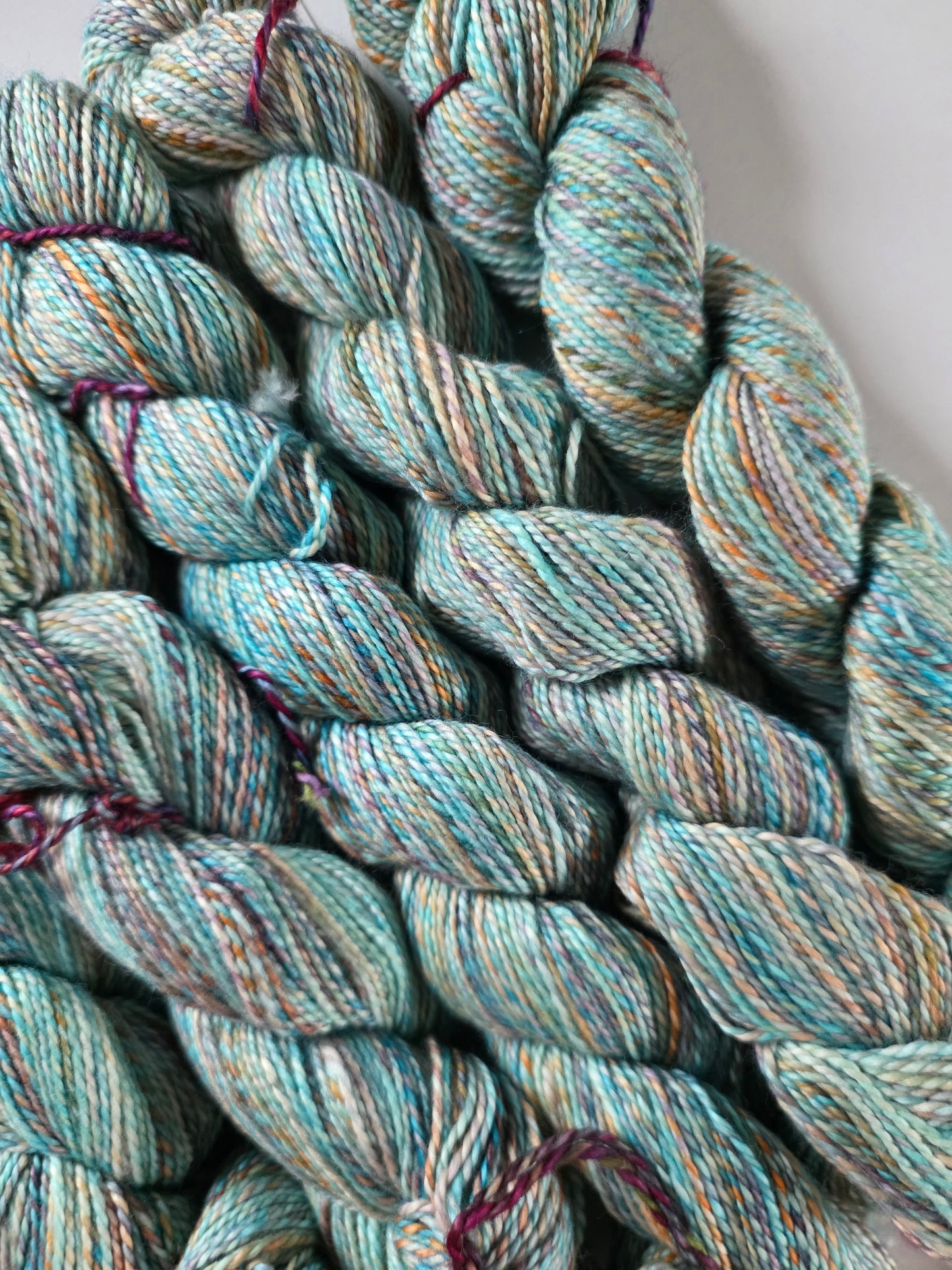 Malabrigo | Torzal | Amphibian