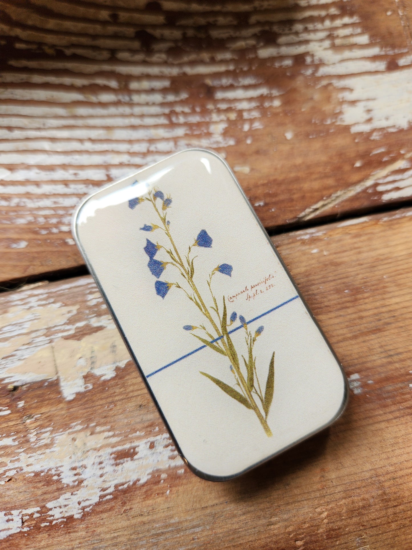 Small Bellflower Notions Tin