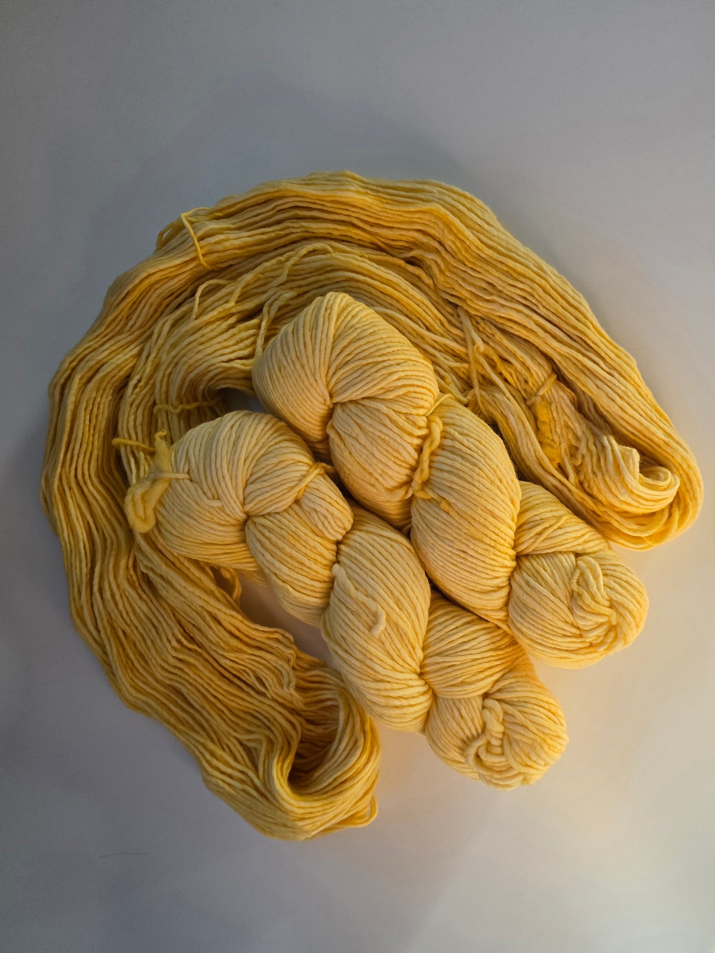 Malabrigo | Worsted | Pollen