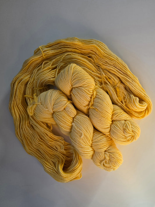 Malabrigo | Worsted | Pollen