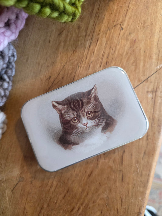 Large Sad Cat Notions Tin