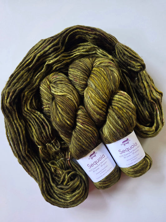 Baah Yarn | Sequoia | Fern Gully Fabulous