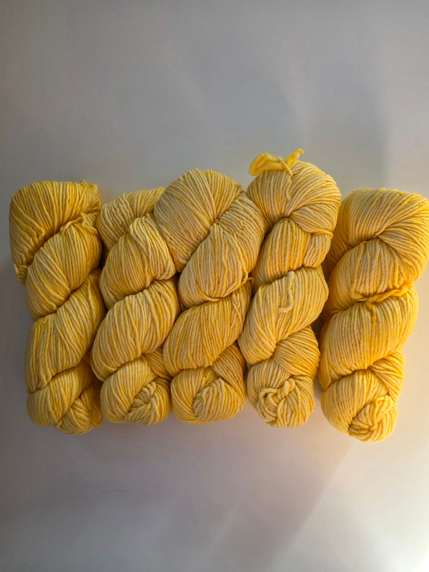 Malabrigo | Worsted | Pollen