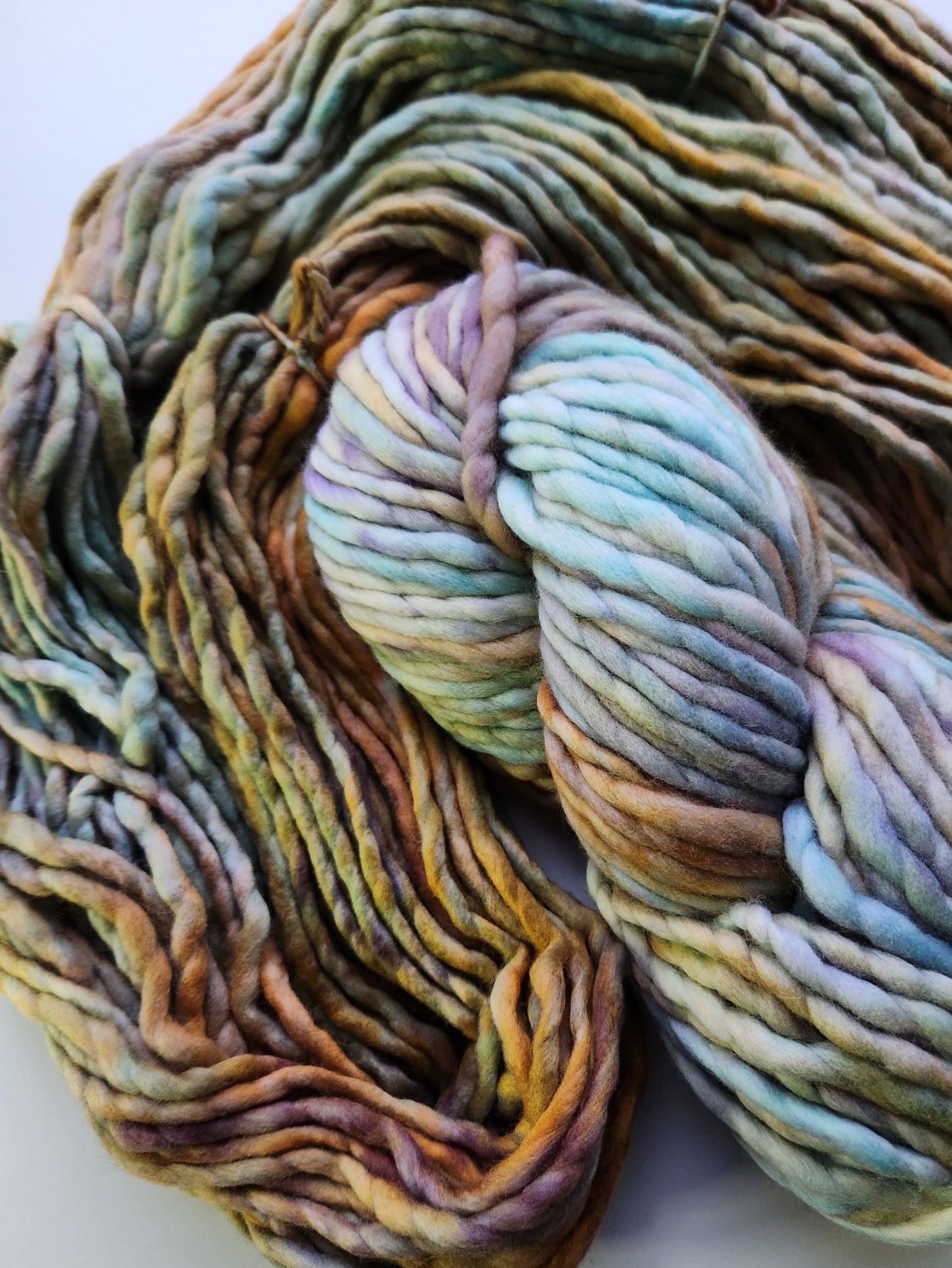 Malabrigo | Rasta | Amphibian