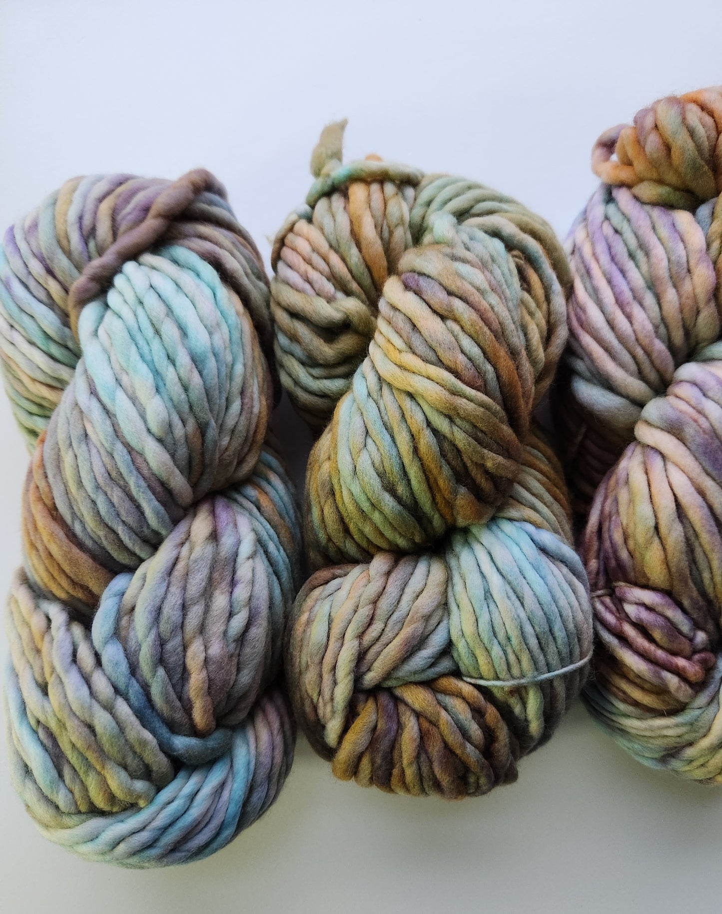 Malabrigo | Rasta | Amphibian