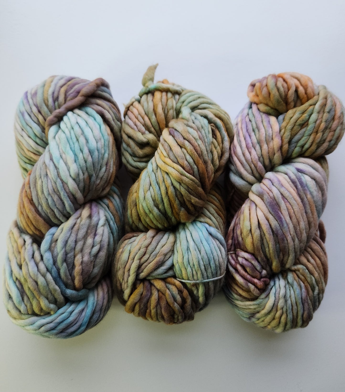 Malabrigo | Rasta | Amphibian