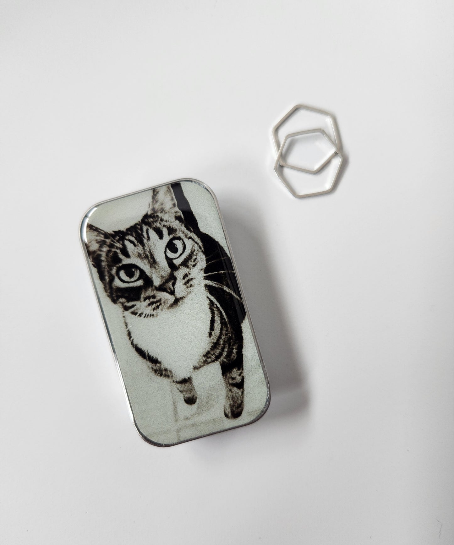 Small Cat Notions Tin