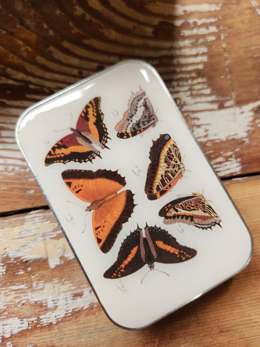 Large Orange Butterflies Notions Tin