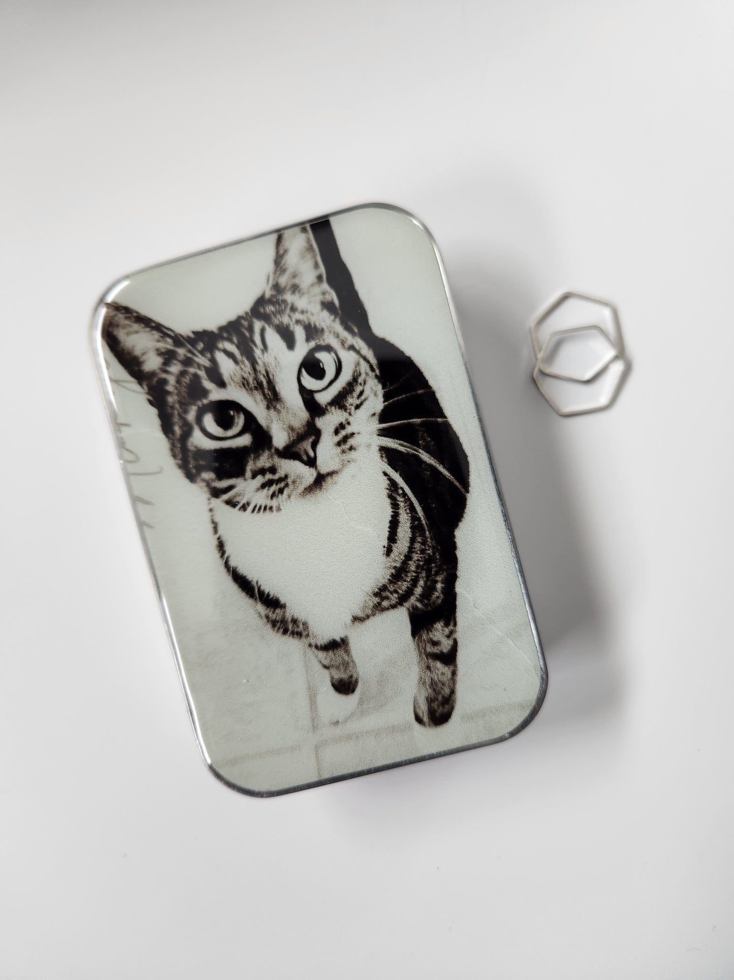 Large Cat Notions Tin