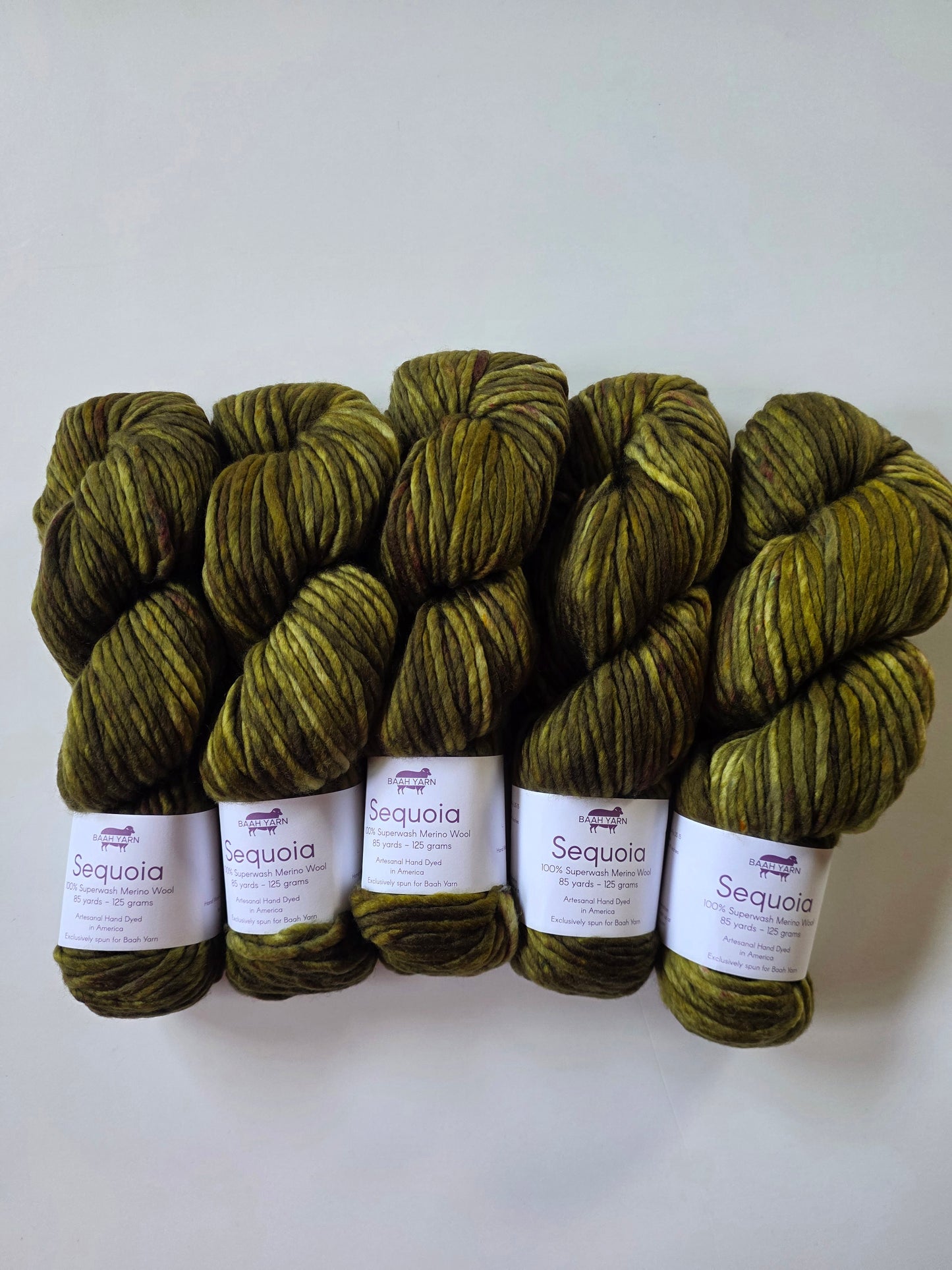 Baah Yarn | Sequoia | Fern Gully Fabulous