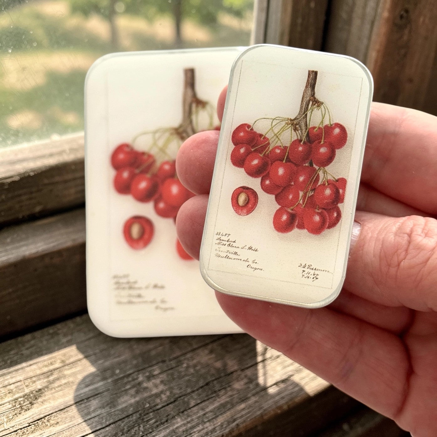 Small Botanical Cherry Notions Tin